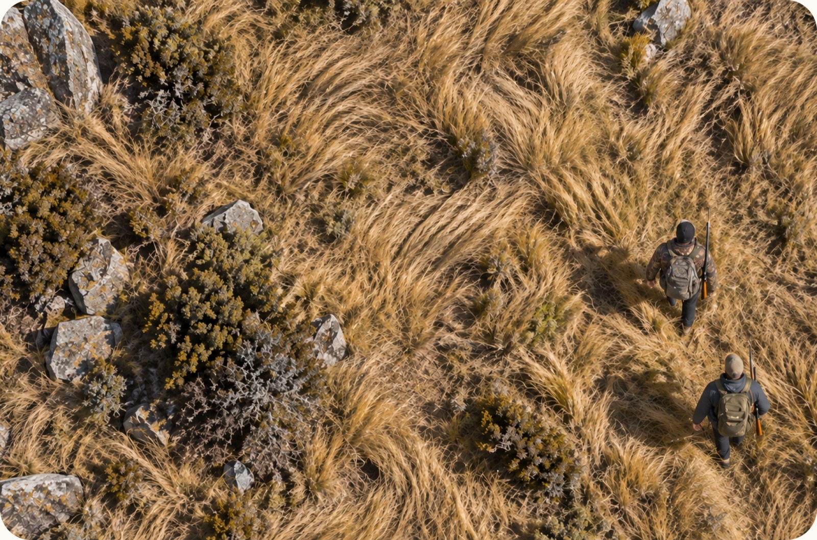 Tussock with hunters